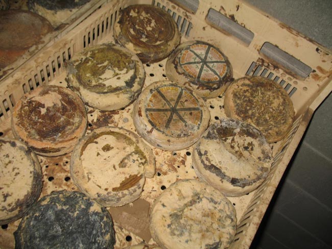 Sicurezza alimentare, grido di allarme dalla Francia all’Italia Sicurezza alimentare, grido di allarme dalla Francia all’Italia