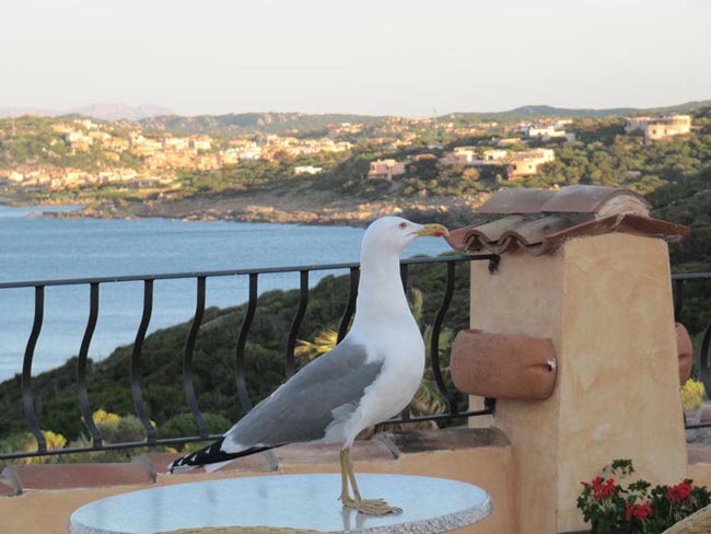 Vacanze in Sardegna? Il momento giusto è questo. Le immagini Vacanze in Sardegna? Il momento giusto è questo. Le immagini