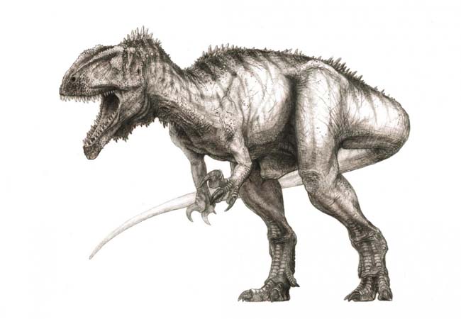 Traffico di dinosauri, condannato 39enne americano Traffico di dinosauri, condannato 39enne americano