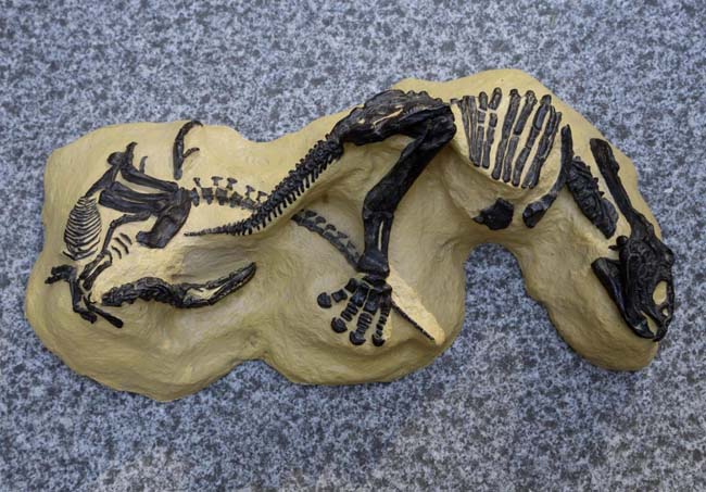 Traffico di dinosauri, condannato 39enne americano Traffico di dinosauri, condannato 39enne americano