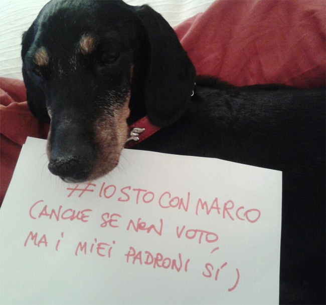 Bacchiddu ad Affaritaliani.it: “La Spinelli ci ha ingannato. Il progetto Tsipras? E’ morto”