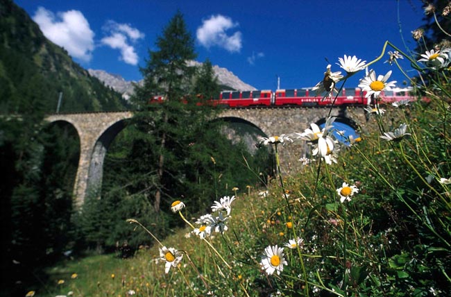 A St.Moritz, il salone delle feste delle Alpi, con il Bernina Express A St.Moritz, il salone delle feste delle Alpi, con il Bernina Express