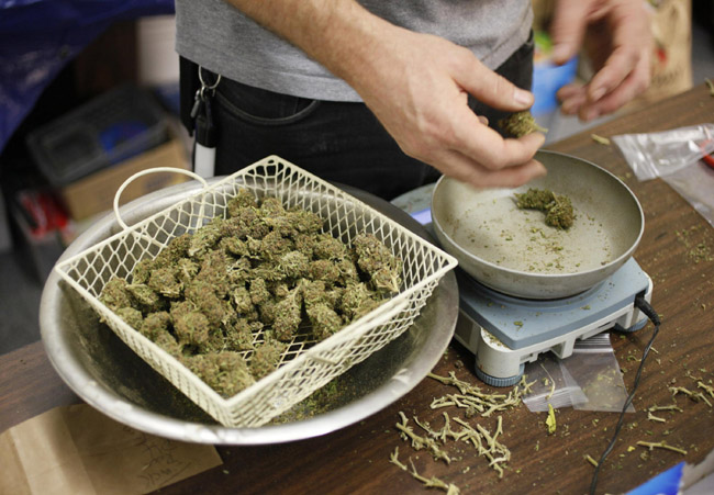 Esplode il business della cannabis. Miliardi di utili col petrolio verde Esplode il business della cannabis. Miliardi di utili col petrolio verde
