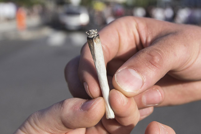 Esplode il business della cannabis. Miliardi di utili col petrolio verde Esplode il business della cannabis. Miliardi di utili col petrolio verde
