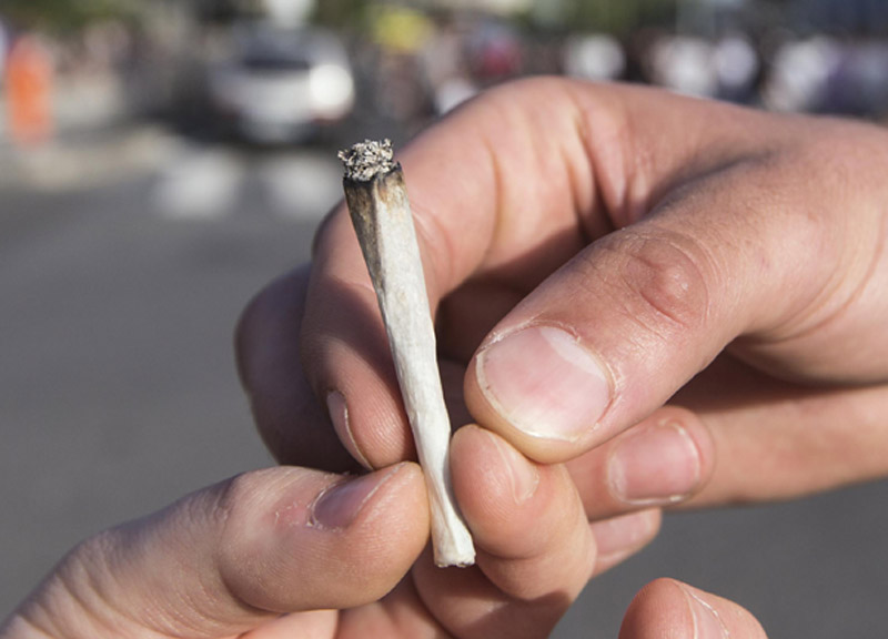 Esplode il business della cannabis. Miliardi di utili col petrolio verde Esplode il business della cannabis. Miliardi di utili col petrolio verde