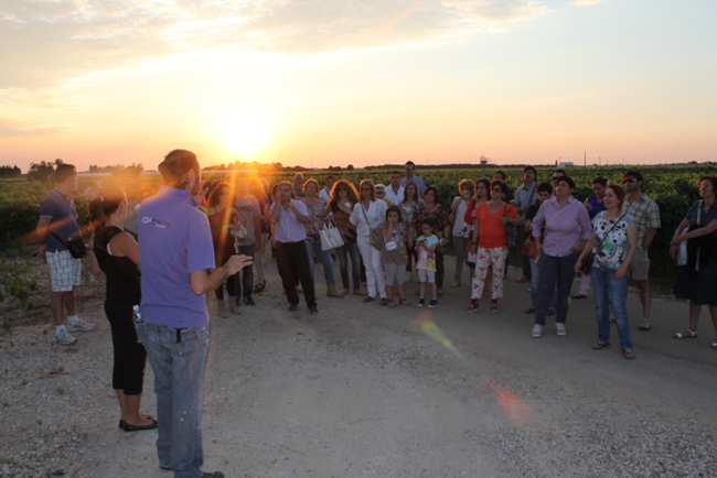 “Masserie sotto le stelle”, per vivere una Puglia rurale “Masserie sotto le stelle”, per vivere una Puglia rurale