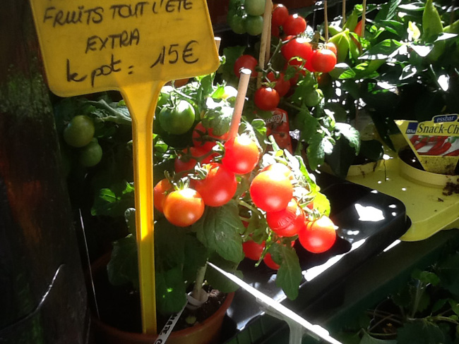 La musica in festa lungo le strade di Parigi – FOTO E VIDEO