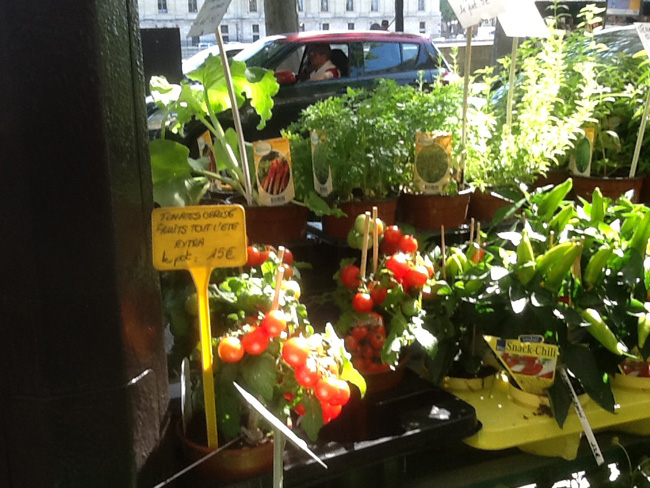 La musica in festa lungo le strade di Parigi – FOTO E VIDEO