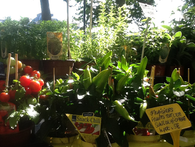 La musica in festa lungo le strade di Parigi – FOTO E VIDEO