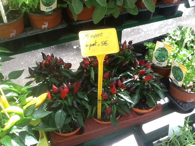 La musica in festa lungo le strade di Parigi – FOTO E VIDEO