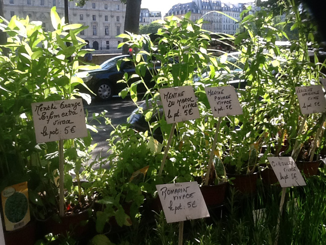 La musica in festa lungo le strade di Parigi – FOTO E VIDEO