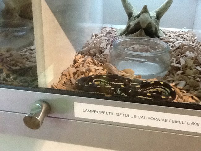 La musica in festa lungo le strade di Parigi – FOTO E VIDEO