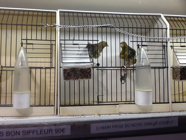 La musica in festa lungo le strade di Parigi – FOTO E VIDEO