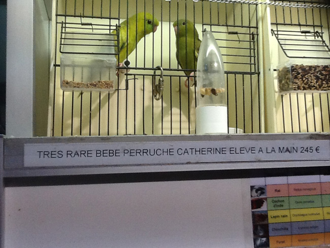 La musica in festa lungo le strade di Parigi – FOTO E VIDEO