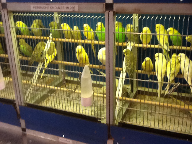 La musica in festa lungo le strade di Parigi – FOTO E VIDEO