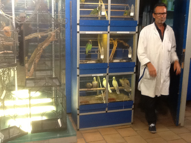 La musica in festa lungo le strade di Parigi – FOTO E VIDEO