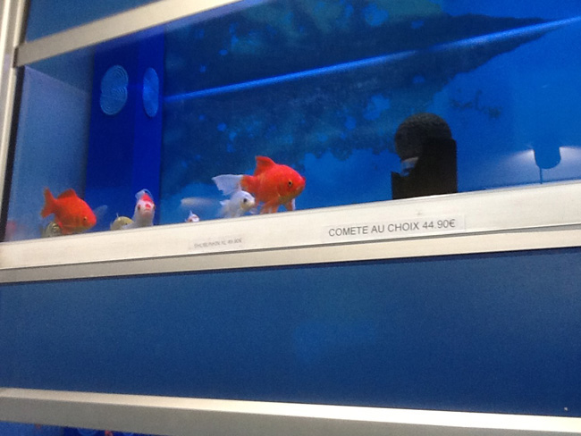 La musica in festa lungo le strade di Parigi – FOTO E VIDEO