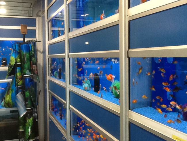 La musica in festa lungo le strade di Parigi – FOTO E VIDEO