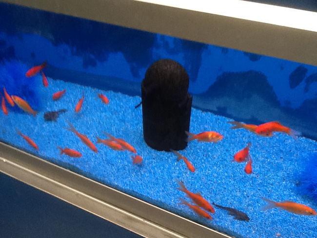 La musica in festa lungo le strade di Parigi – FOTO E VIDEO