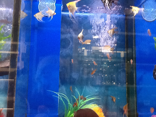 La musica in festa lungo le strade di Parigi – FOTO E VIDEO