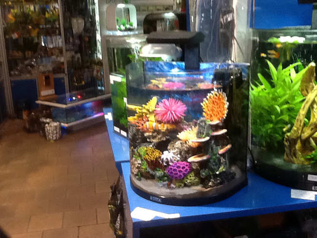 La musica in festa lungo le strade di Parigi – FOTO E VIDEO