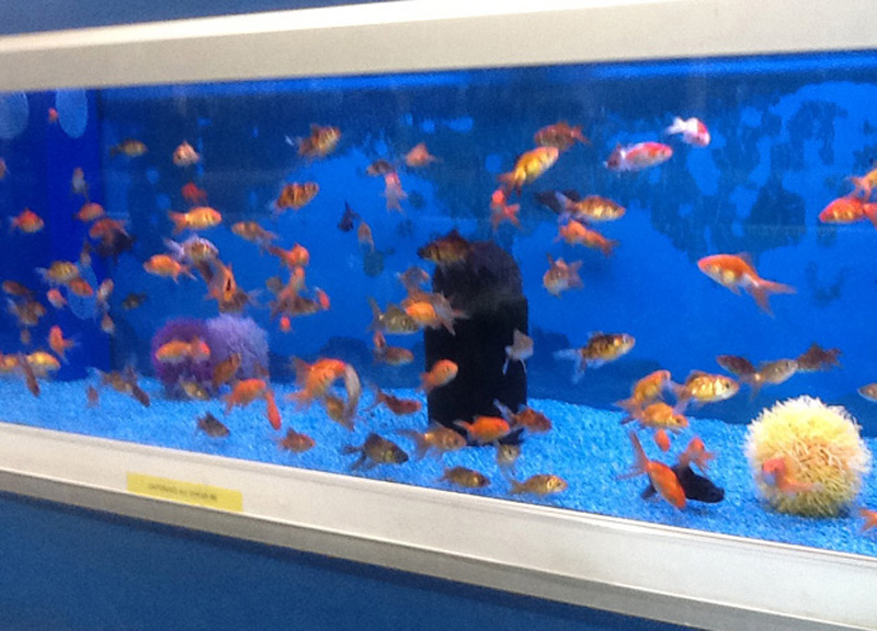 La musica in festa lungo le strade di Parigi – FOTO E VIDEO