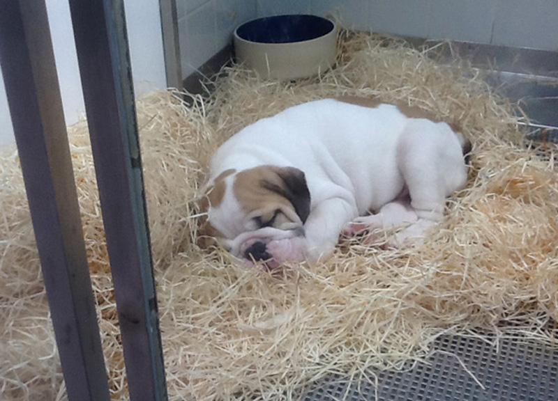 La musica in festa lungo le strade di Parigi – FOTO E VIDEO