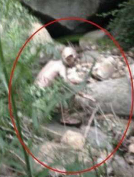 Gollum o alieno? Immortalata una creatura non umana. Ma… Gollum o alieno? Immortalata una creatura non umana. Ma…