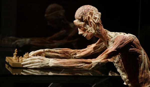 L’anima non muore: la rivoluzione biocentrica dello scienziato Lanza L’anima non muore: la rivoluzione biocentrica dello scienziato Lanza