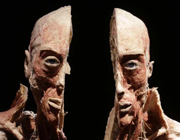 L’anima non muore: la rivoluzione biocentrica dello scienziato Lanza L’anima non muore: la rivoluzione biocentrica dello scienziato Lanza