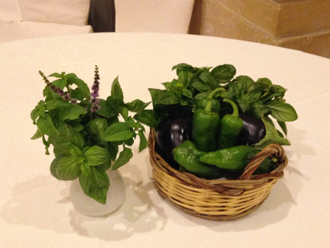 Il Premio Apollonio racconta una Puglia vivace, forte, ricca di eccellenze: Renzo Arbore, ospiti d’eccezione ed enogastronomia di qualità con le Masserie didattiche