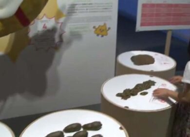 La cacca in mostra… al National science museum di Tokyo
