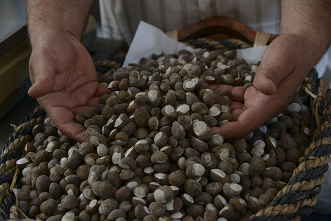 Cinque giorni di gusto nel cuore del Salento Cinque giorni di gusto nel cuore del Salento