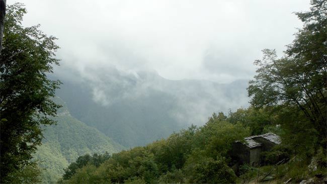 La creazione di significato, ecco il film rivelazione di Locarno