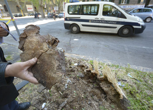 Vuoi un albero in città? Pagatelo. Al verde ci pensino i cittadini Vuoi un albero in città? Pagatelo. Al verde ci pensino i cittadini