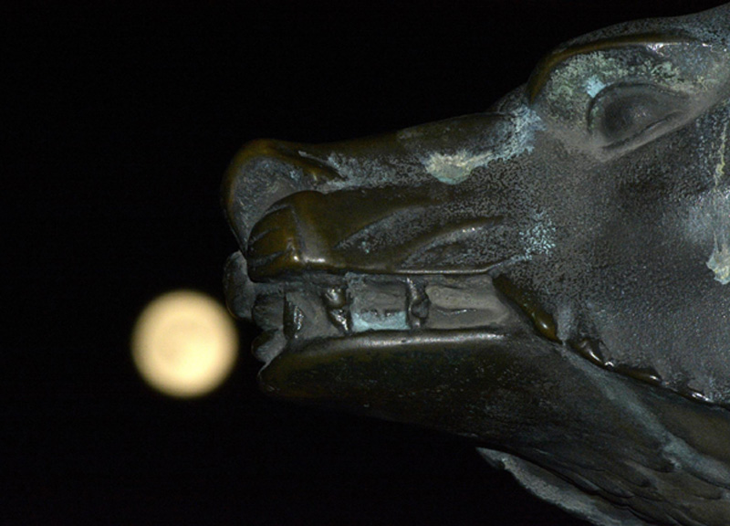 Superluna in cielo: ecco le foto Superluna in cielo: ecco le foto