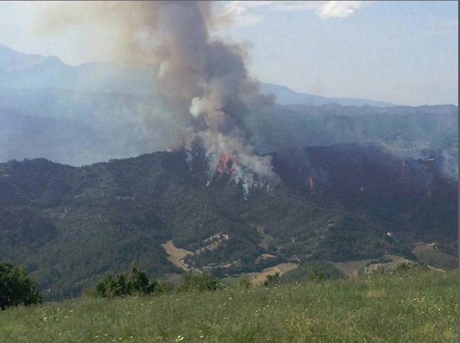 Ecco chi sono i quattro piloti coinvolti nello scontro tra Tornado