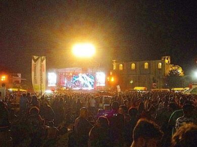 Taranta, grande ma a rischio. Come il Salento