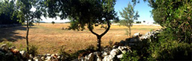 15 artisti e un bosco SIC: l’Apulia Land Art Festival nel cuore del Salento
