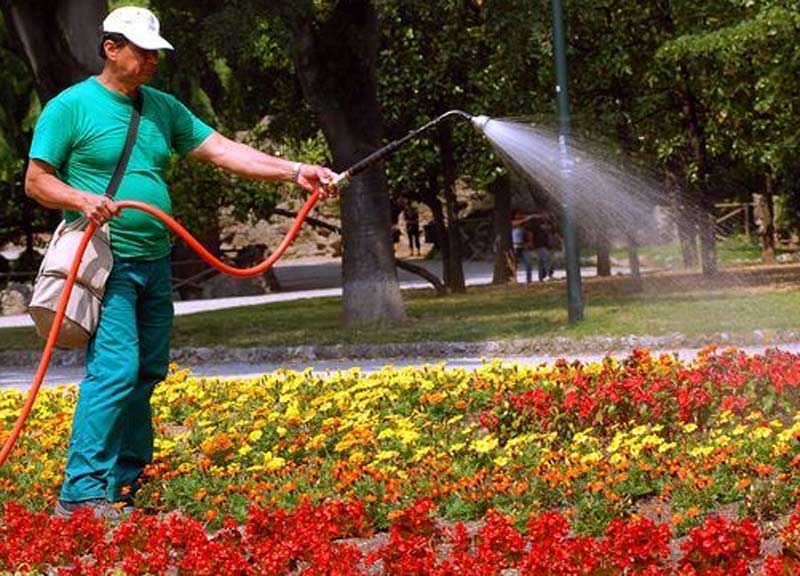 Rischio alberi, ombra da paura. I giardinieri lanciano l’allarme
