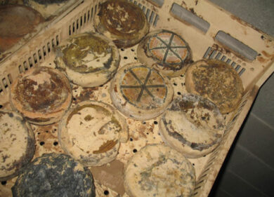 Cina, arrivano le bacchette intelligenti. Baidu nel business dei cibi avvelenati