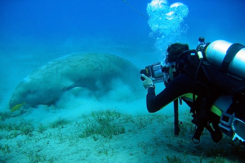 Egitto, le 7 meraviglie di Marsa Alam. Le foto