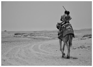 Egitto, le 7 meraviglie di Marsa Alam. Le foto