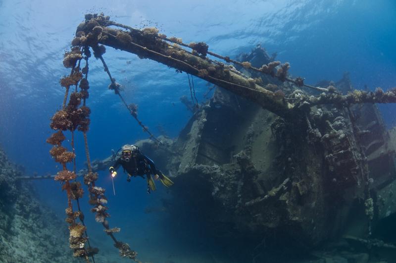 Egitto, le 7 meraviglie di Marsa Alam. Le foto