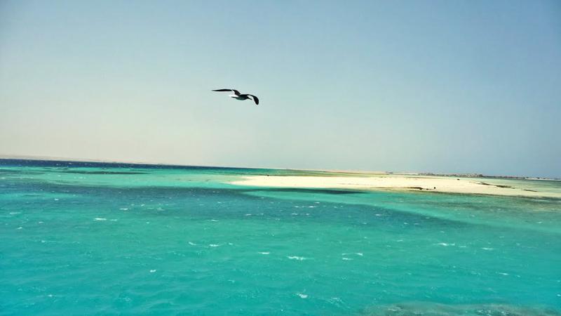 Egitto, le 7 meraviglie di Marsa Alam. Le foto