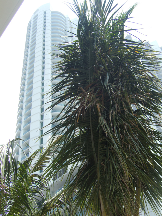 Da angeli del focolare a giramondo. Le donne comprano casa all’estero Da angeli del focolare a giramondo. Le donne comprano casa all’estero