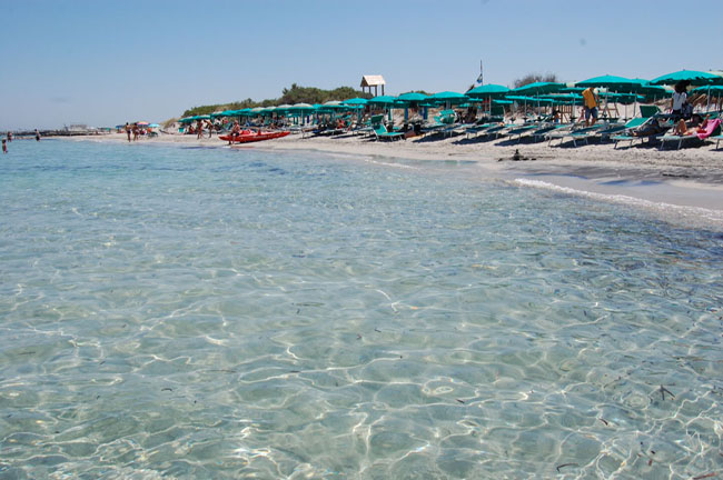 20 settembre, arriva Grillo sulla spiaggia della Tap 20 settembre, arriva Grillo sulla spiaggia della Tap
