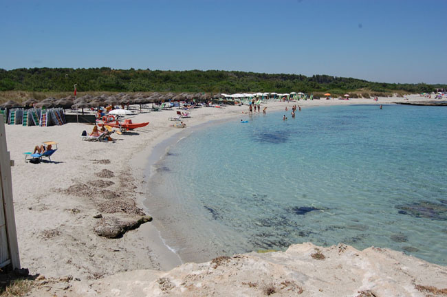 20 settembre, arriva Grillo sulla spiaggia della Tap 20 settembre, arriva Grillo sulla spiaggia della Tap