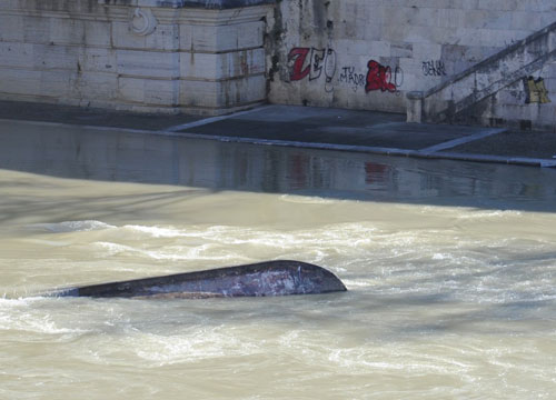 “Lo stadio della Lazio è l’ultima follia”. Italia Nostra: “Il Tevere è vincolato”