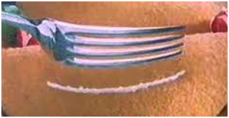 Findus, il marchio che ha scongelato la pubblicità italiana